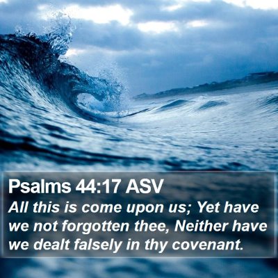 Psalms 44:17 ASV Bible Verse Image