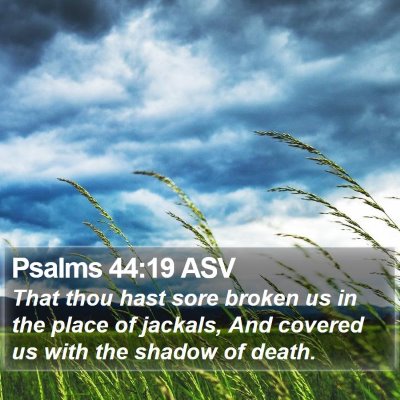 Psalms 44:19 ASV Bible Verse Image