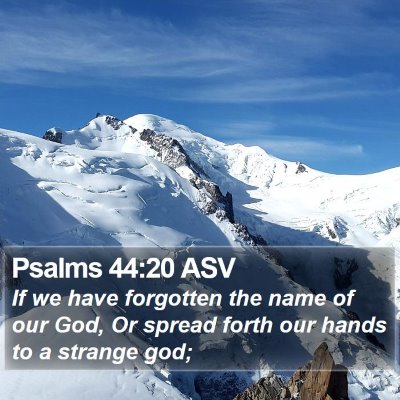 Psalms 44:20 ASV Bible Verse Image