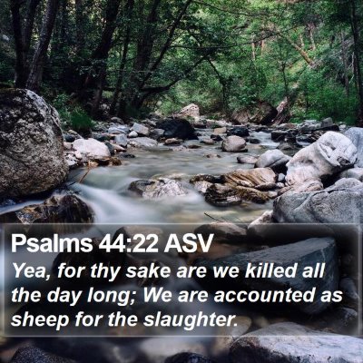 Psalms 44:22 ASV Bible Verse Image
