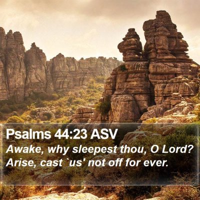 Psalms 44:23 ASV Bible Verse Image