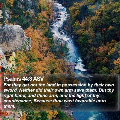 Psalms 44:3 ASV Bible Verse Image