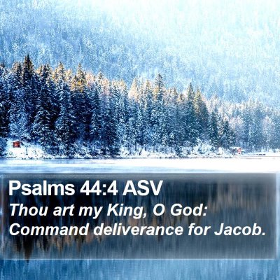 Psalms 44:4 ASV Bible Verse Image