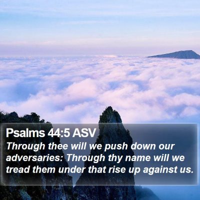 Psalms 44:5 ASV Bible Verse Image