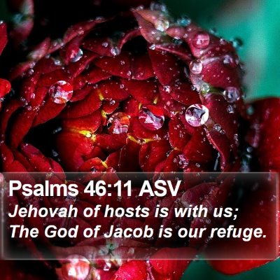 Psalms 46:11 ASV Bible Verse Image