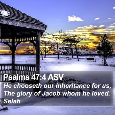 Psalms 47:4 ASV Bible Verse Image