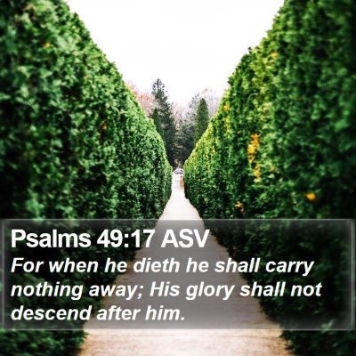 Psalms 49:17 ASV Bible Verse Image