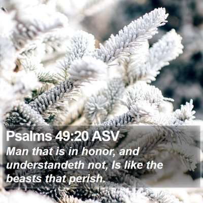 Psalms 49:20 ASV Bible Verse Image