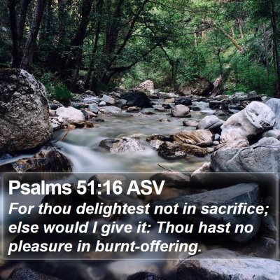 Psalms 51:16 ASV Bible Verse Image