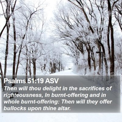 Psalms 51:19 ASV Bible Verse Image
