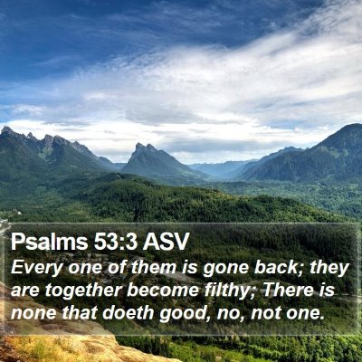 Psalms 53:3 ASV Bible Verse Image