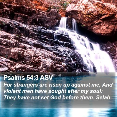 Psalms 54:3 ASV Bible Verse Image