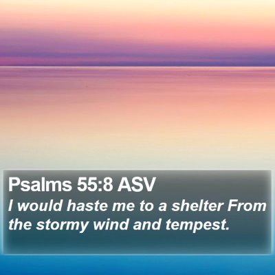 Psalms 55:8 ASV Bible Verse Image
