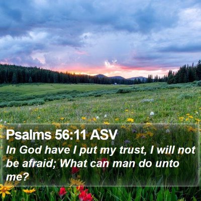 Psalms 56:11 ASV Bible Verse Image