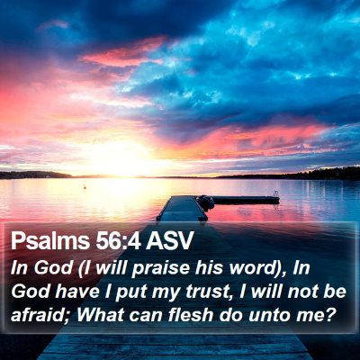 Psalms 56:4 ASV Bible Verse Image