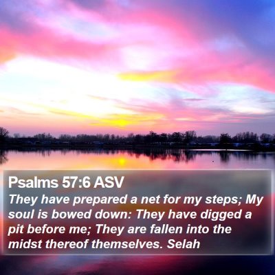 Psalms 57:6 ASV Bible Verse Image
