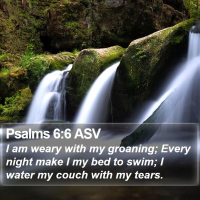 Psalms 6:6 ASV Bible Verse Image