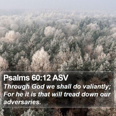 Psalms 60:12 ASV Bible Verse Image