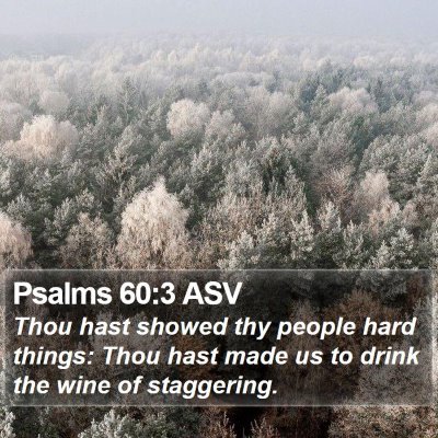 Psalms 60:3 ASV Bible Verse Image