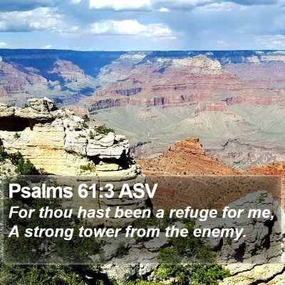 Psalms 61:3 ASV Bible Verse Image