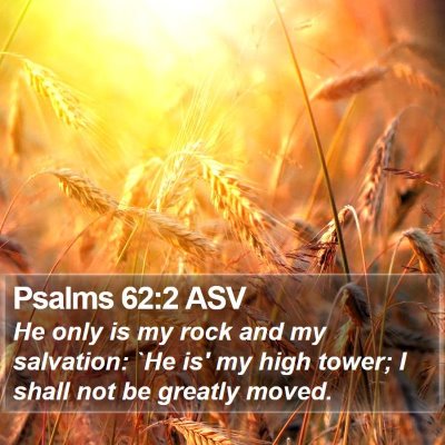 Psalms 62:2 ASV Bible Verse Image