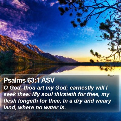 Psalms 63:1 ASV Bible Verse Image