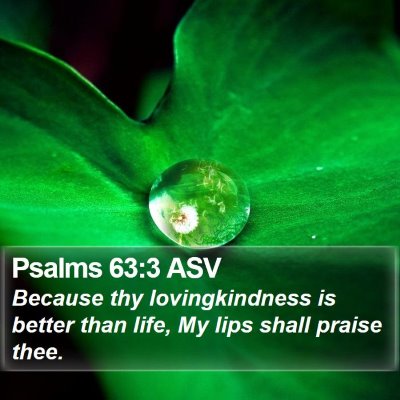 Psalms 63:3 ASV Bible Verse Image
