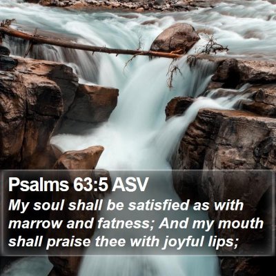 Psalms 63:5 ASV Bible Verse Image
