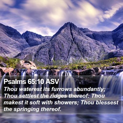 Psalms 65:10 ASV Bible Verse Image