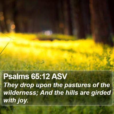 Psalms 65:12 ASV Bible Verse Image