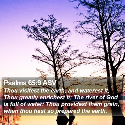 Psalms 65:9 ASV Bible Verse Image