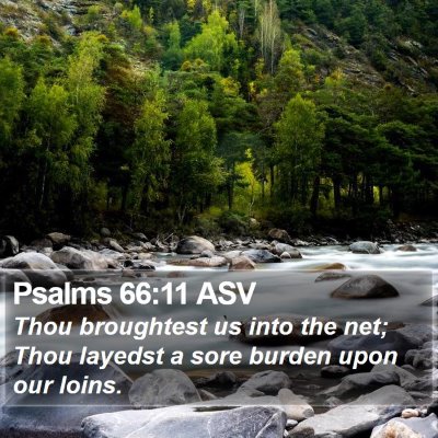 Psalms 66:11 ASV Bible Verse Image
