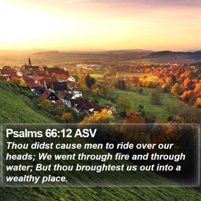 Psalms 66:12 ASV Bible Verse Image