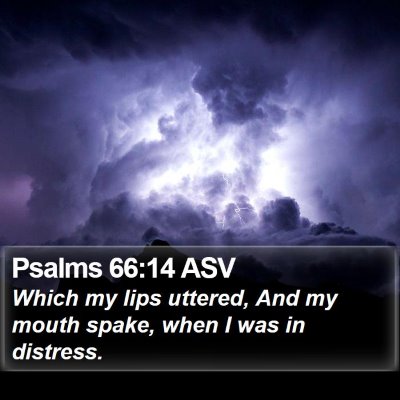 Psalms 66:14 ASV Bible Verse Image