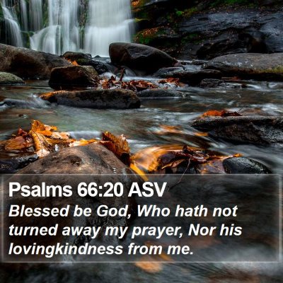 Psalms 66:20 ASV Bible Verse Image