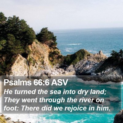 Psalms 66:6 ASV Bible Verse Image