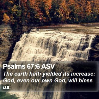 Psalms 67:6 ASV Bible Verse Image
