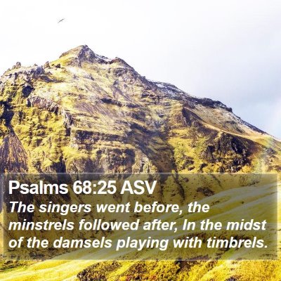 Psalms 68:25 ASV Bible Verse Image
