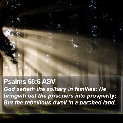Psalms 68:6 ASV Bible Verse Image