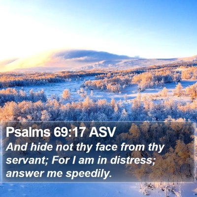 Psalms 69:17 ASV Bible Verse Image