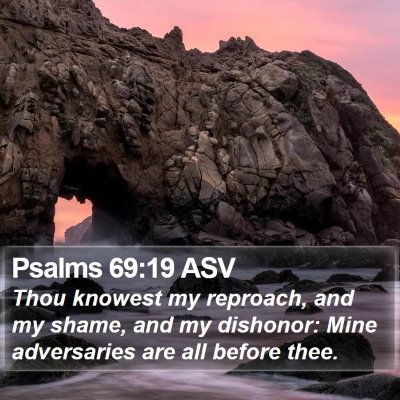 Psalms 69:19 ASV Bible Verse Image