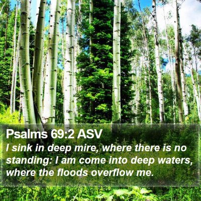 Psalms 69:2 ASV Bible Verse Image