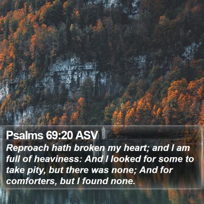 Psalms 69:20 ASV Bible Verse Image