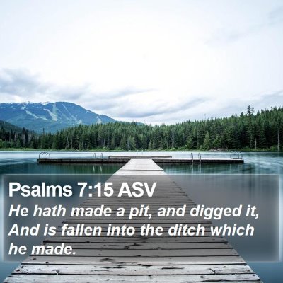 Psalms 7:15 ASV Bible Verse Image