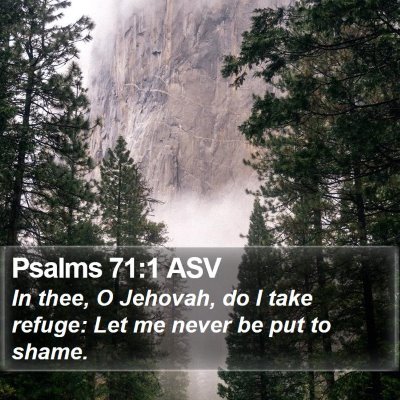 Psalms 71:1 ASV Bible Verse Image