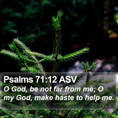 Psalms 71:12 ASV Bible Verse Image