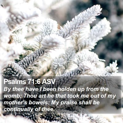 Psalms 71:6 ASV Bible Verse Image