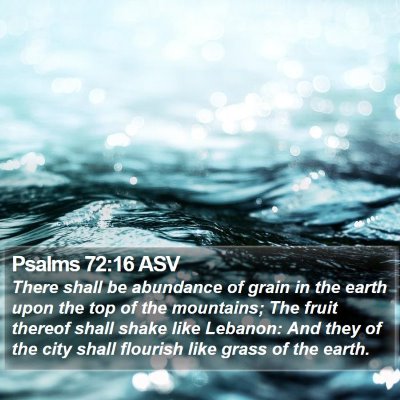 Psalms 72:16 ASV Bible Verse Image