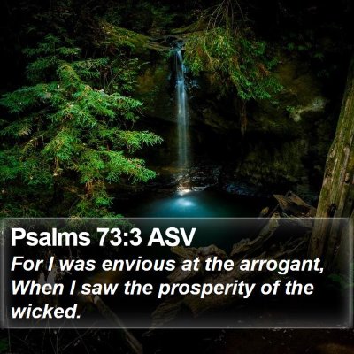 Psalms 73:3 ASV Bible Verse Image