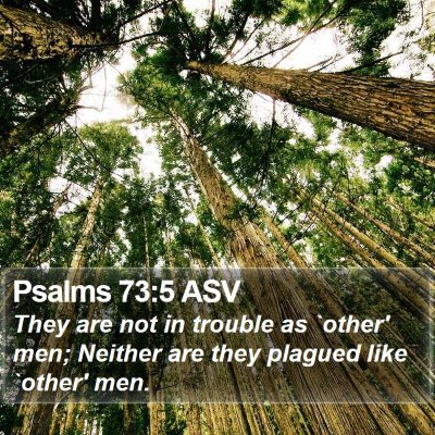 Psalms 73:5 ASV Bible Verse Image